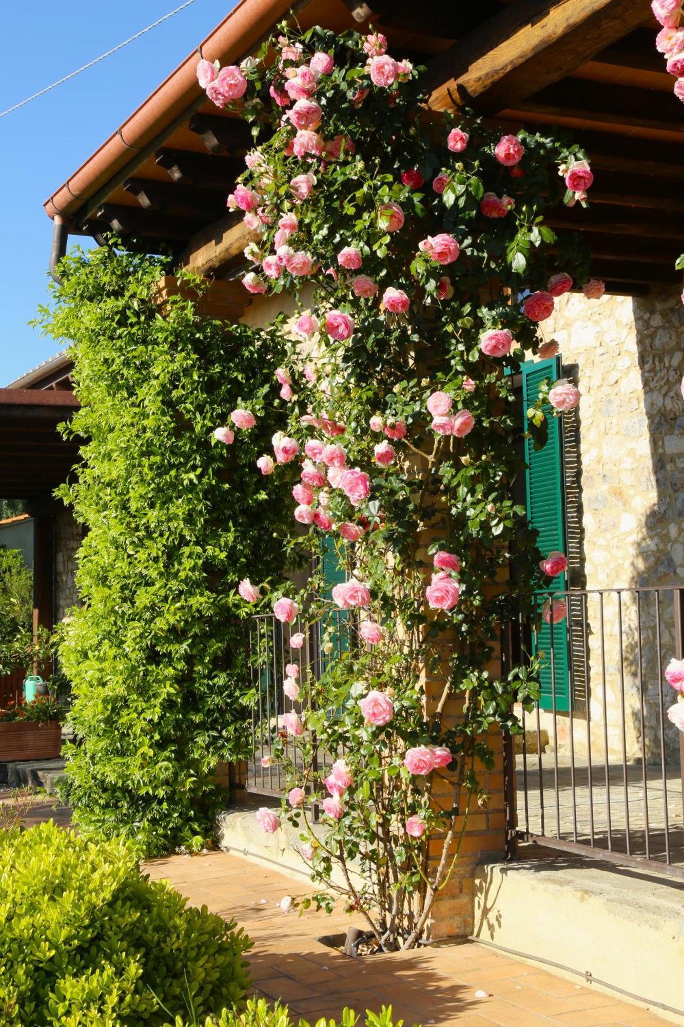 Casa Maria Vila Magliano in Toscana Exterior foto